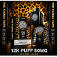 JACK PAROW 12K POD